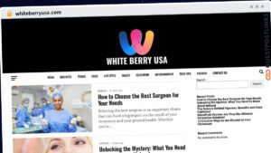 Publish Guest Post on whiteberryusa.com