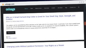 Publish Guest Post on celeage.com