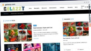 Publish Guest Post on golazzy.com
