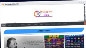 Publish Guest Post on instagrambios.net