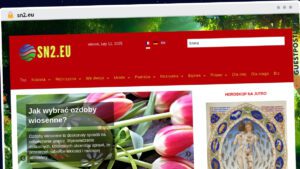 Publish Guest Post on sn2.eu