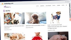 Publish Guest Post on chabadog.com
