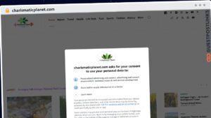 Publish Guest Post on charismaticplanet.com