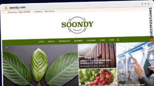 Publish Guest Post on soondy.com