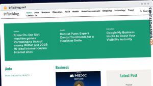 Publish Guest Post on bflixblog.net