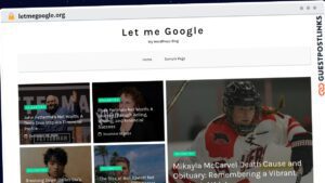 Publish Guest Post on letmegoogle.org
