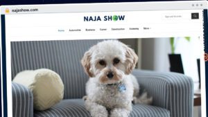 Publish Guest Post on najashow.com
