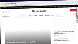 Publish Guest Post on namesvaults.com