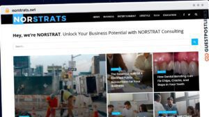 Publish Guest Post on norstrats.net