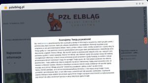 Publish Guest Post on pzlelblag.pl