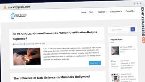 Publish Guest Post on suckmygeek.com