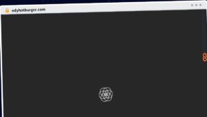 Publish Guest Post on edyhotburger.com