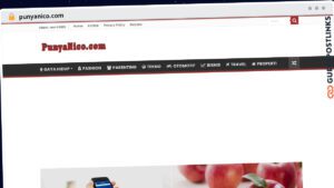 Publish Guest Post on punyanico.com