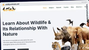 Publish Guest Post on wildlyanimals.net