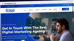 Publish Guest Post on bitchipdigital.com