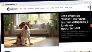 Publish Guest Post on complexinfo.fr