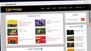 Publish Guest Post on citimuzik.com