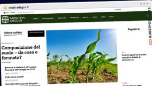 Publish Guest Post on mostradegas.it