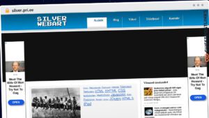 Publish Guest Post on silver.pri.ee