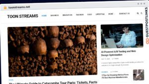 Publish Guest Post on toonstreams.net