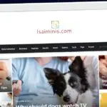 Publish Guest Post on isaiminis.com