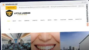 Publish Guest Post on littlelioness.net
