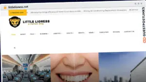 Publish Guest Post on littlelioness.net