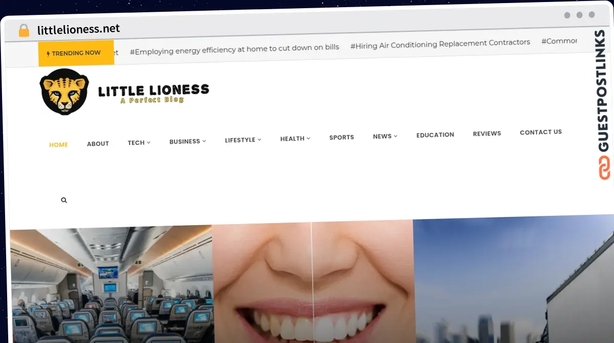 Publish Guest Post on littlelioness.net