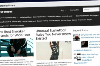Publish Guest Post on liveforbball.com