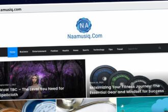 Publish Guest Post on naamusiq.com