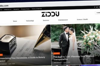 Publish Guest Post on ziddu.com