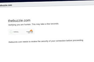 Publish Guest Post on thebuzzie.com