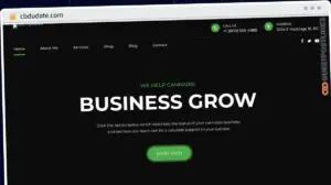 Publish Guest Post on cbdudate.com