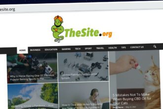 Publish Guest Post on thesite.org