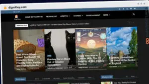 Publish Guest Post on digestley.com