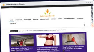 Publish Guest Post on labelsuperrecords.com