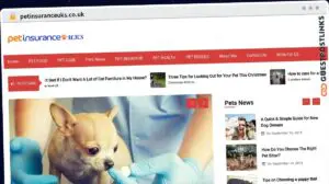 Publish Guest Post on petinsuranceuks.co.uk