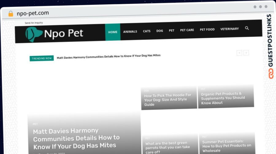Publish Guest Post on npo-pet.com