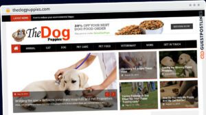 Publish Guest Post on thedogpuppies.com