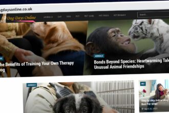 Publish Guest Post on dogdaysonline.co.uk