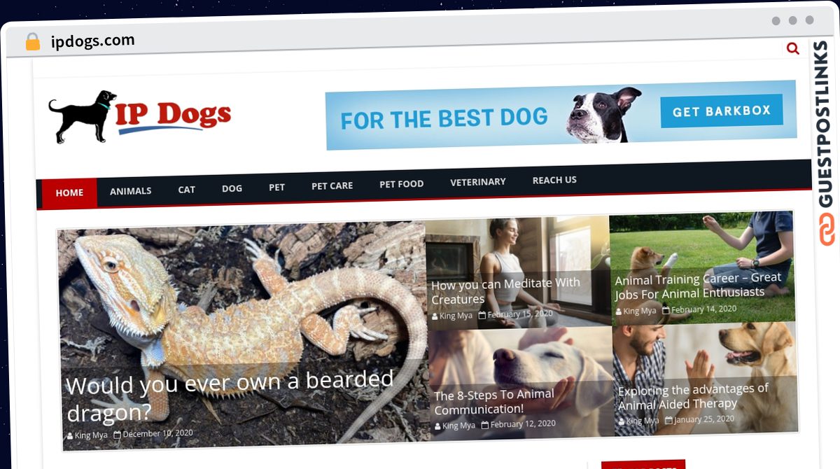 Publish Guest Post on ipdogs.com