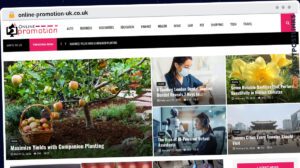 Publish Guest Post on online-promotion-uk.co.uk