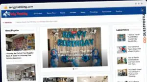 Publish Guest Post on seligplumbing.com