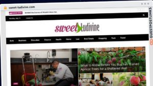 Publish Guest Post on sweet-ludivine.com