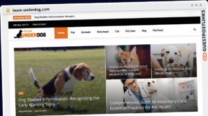 Publish Guest Post on team-underdog.com
