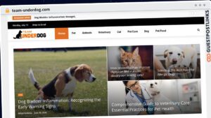 Publish Guest Post on team-underdog.com