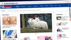 Publish Guest Post on theliberalblogger.com