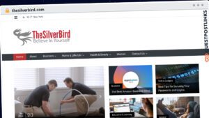 Publish Guest Post on thesilverbird.com