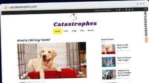 Publish Guest Post on catcatastrophes.com