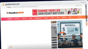 Publish Guest Post on gossiboocrew.com